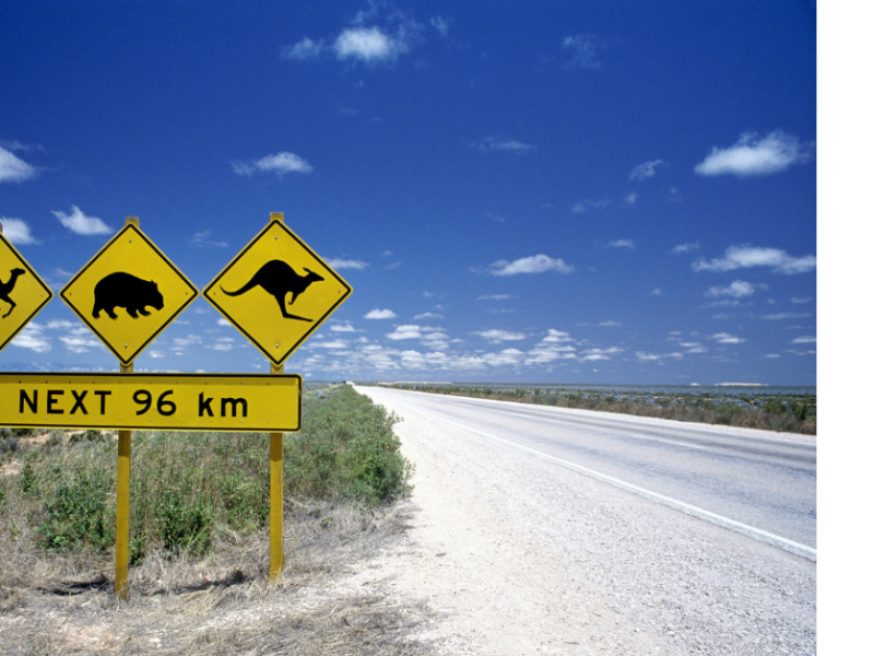 Animales en Australia, señales de tráfico